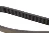 Ремень поликлиновой DAYCO 6PK1125 (фото 3)