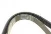 Ремень поликлиновой DAYCO 6PK1137 (фото 3)