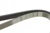 Ремень поликлиновой DAYCO 6PK1137 (фото 4)