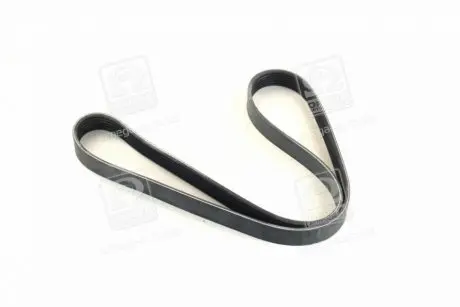 Ремень поликлиновой DAYCO 6PK1141