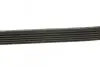 Ремень поликлиновой DAYCO 6PK1152 (фото 2)