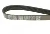Ремень поликлиновой DAYCO 6PK1152 (фото 3)