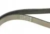 Ремень поликлиновой DAYCO 6PK1352 (фото 3)