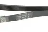 Ремень поликлиновой DAYCO 6PK1400 (фото 3)