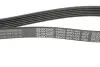 Ремень поликлиновой DAYCO 6PK1435 (фото 2)