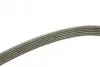 Ремень поликлиновой DAYCO 6PK1462 (фото 2)