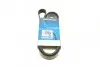 Доріжковий пас DAYCO 6PK1613