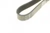 Ремень поликлиновой DAYCO 6PK1613 (фото 3)