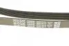 Ремень поликлиновой DAYCO 6PK1613 (фото 4)