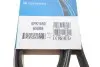 Ремень поликлиновой DAYCO 6PK1650 (фото 5)