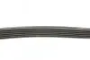 Ремень поликлиновой DAYCO 6PK1710 (фото 2)