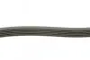 Ремень поликлиновой DAYCO 6PK1795 (фото 2)