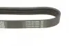 Ремень поликлиновой DAYCO 6PK1795 (фото 3)
