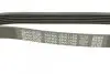 Ремень поликлиновой DAYCO 6PK1795 (фото 4)