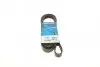 Доріжковий пас DAYCO 6PK1820