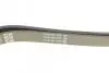 Ремень поликлиновой DAYCO 6PK1820 (фото 4)