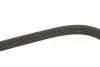 Ремень поликлиновой DAYCO 6PK2120 (фото 3)