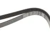 Ремень поликлиновой DAYCO 6PK2120 (фото 4)