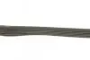 Ремень поликлиновой DAYCO 6PK2195 (фото 2)