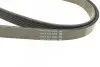 Ремень поликлиновой DAYCO 6PK2195 (фото 3)