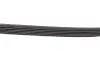 Доріжковий пас DAYCO 6PK2225 (фото 4)