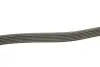 Ремень поликлиновой DAYCO 6PK2255 (фото 3)