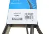 Ремень поликлиновой DAYCO 6PK2255 (фото 6)