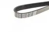 Ремень поликлиновой DAYCO 6PK1160 (фото 3)