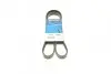 Ремень поликлиновой 6PK1355 DAYCO