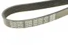 Ремень поликлиновой DAYCO 6PK1355 (фото 4)
