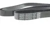 Ремень поликлиновой DAYCO 6PK2515 (фото 4)