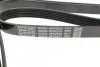 Ремень поликлиновой DAYCO 6PK2525 (фото 3)
