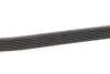 Ремень поликлиновой DAYCO 7PK2285 (фото 3)