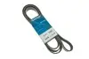 Доріжковий пас DAYCO 7PK2872