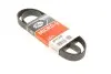 Ремень поликлиновой 6PK1255 GATES