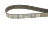 Ремень поликлиновой DAYCO 5PK1010 (фото 4)
