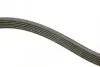 Ремень поликлиновой DAYCO 6PK1150 (фото 2)