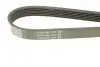 Ремень поликлиновой DAYCO 6PK1150 (фото 3)