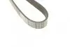 Ремень поликлиновой DAYCO 6PK1150 (фото 4)