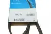Ремень поликлиновой DAYCO 6PK1150 (фото 6)