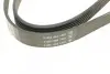 Ремень поликлиновой DAYCO 6PK1217 (фото 4)