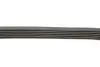 Ремень поликлиновой DAYCO 6PK1437 (фото 2)
