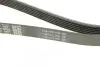 Ремень поликлиновой DAYCO 6PK1437 (фото 3)
