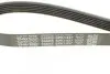 Ремень поликлиновой DAYCO 6PK1437 (фото 4)