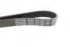 Ремень поликлиновой DAYCO 6PK1590 (фото 3)