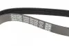 Ремень поликлиновой DAYCO 6PK1635 (фото 3)