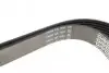 Ремень поликлиновой DAYCO 6PK1635 (фото 4)
