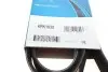 Ремень поликлиновой DAYCO 6PK1635 (фото 6)