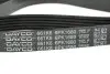 Ремень поликлиновой DAYCO 6PK1680 (фото 2)