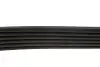 Ремень поликлиновой DAYCO 6PK1680 (фото 3)
